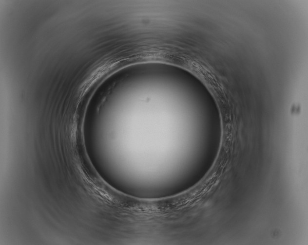 X0000096180194200801181320