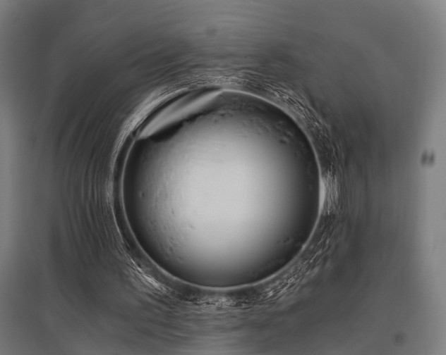 X0000096180195200801181320