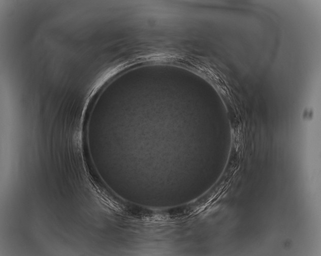 X0000096180196200801181320