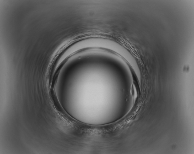 X0000096180197200801181319