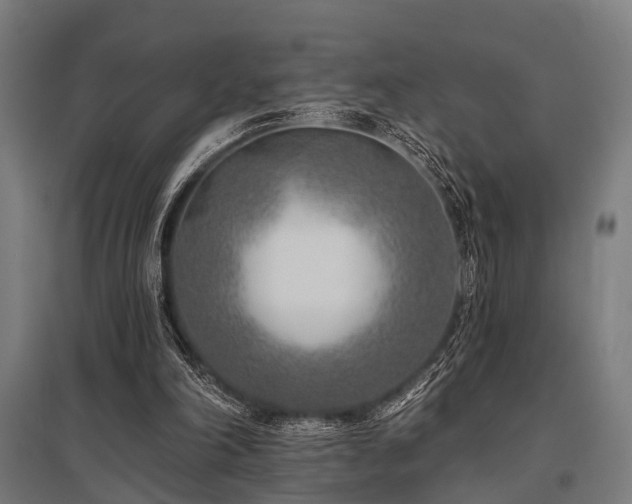 X0000096180198200801181319