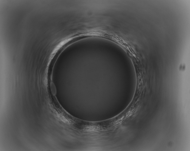 X0000096180200200801181319