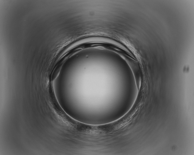 X0000096180201200801181319