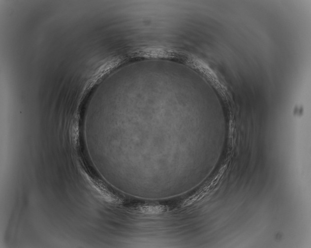 X0000096180202200801181319