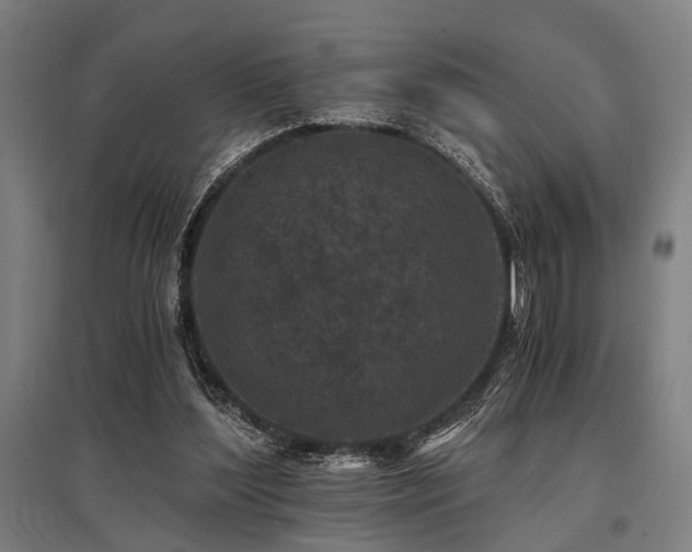 X0000096180204200801181319