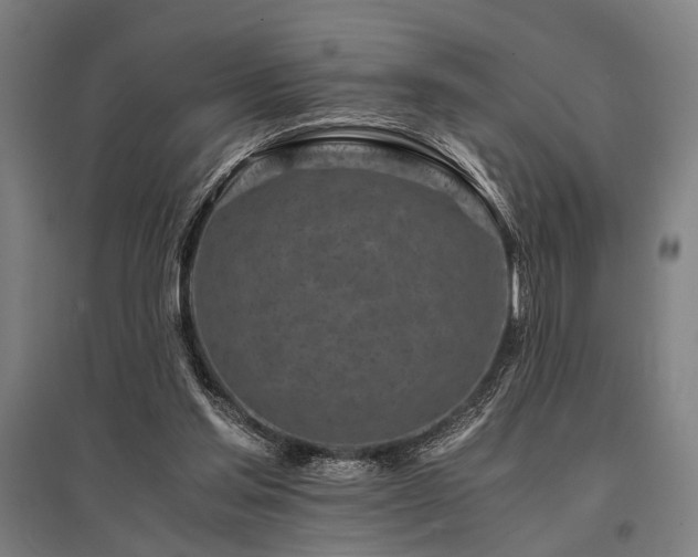 X0000096180205200801181319