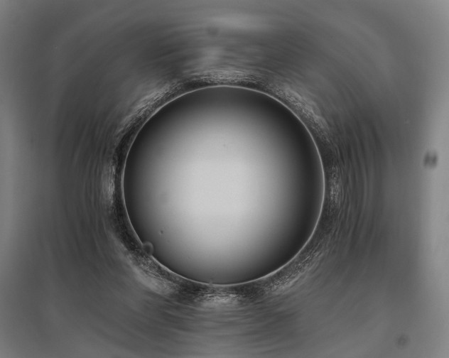 X0000096180206200801181319