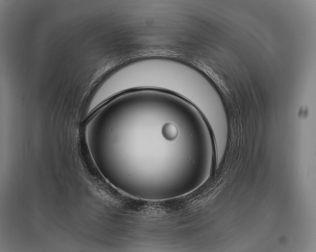 X0000096180207200801181319