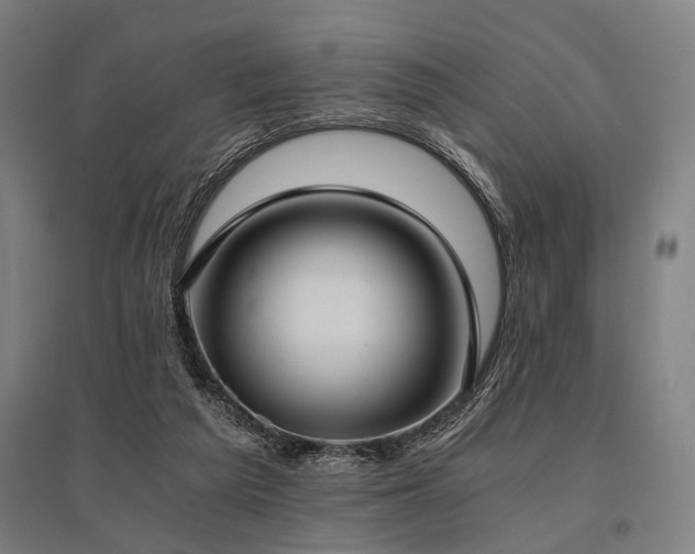 X0000096180209200801181319