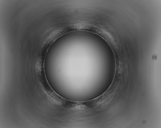 X0000096180210200801181319