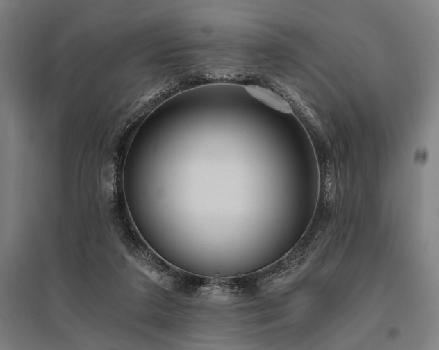 X0000096180211200801181319
