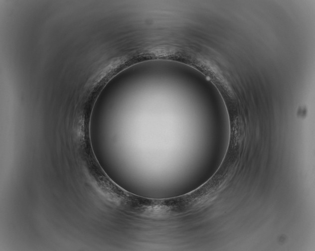 X0000096180212200801181319
