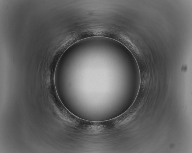 X0000096180213200801181319