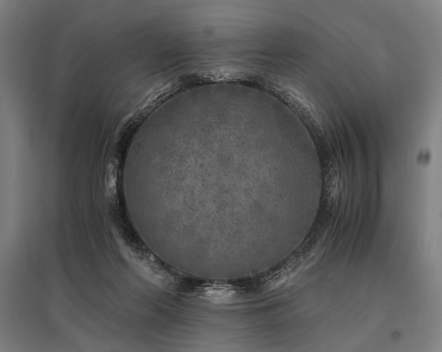 X0000096180214200801181319