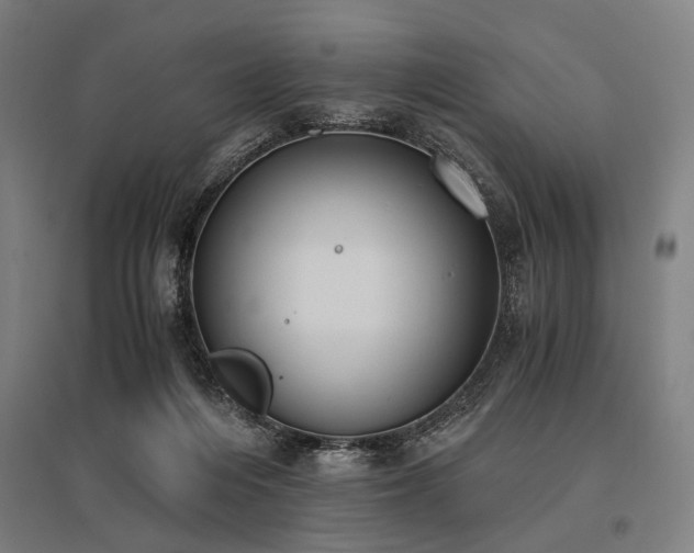 X0000096180216200801181319