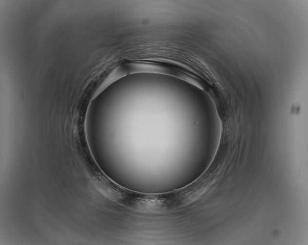 X0000096180217200801181319