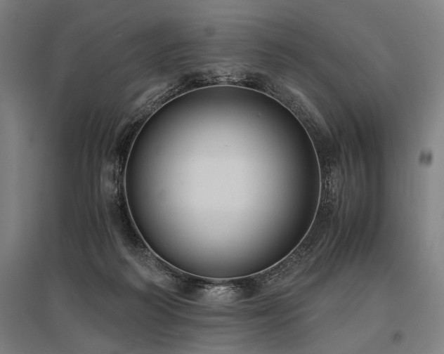 X0000096180218200801181319