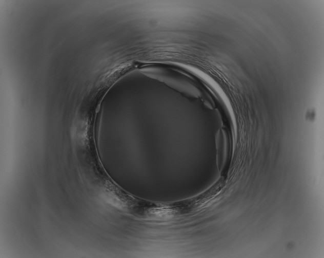 X0000096180219200801181319