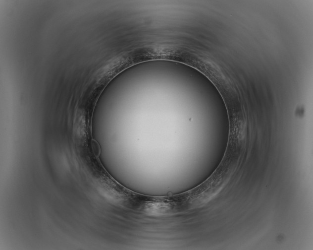 X0000096180220200801181319