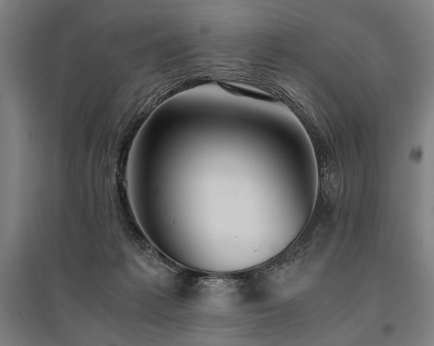 X0000096180221200801181319
