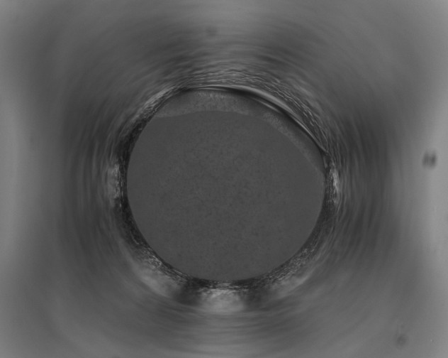 X0000096180224200801181319