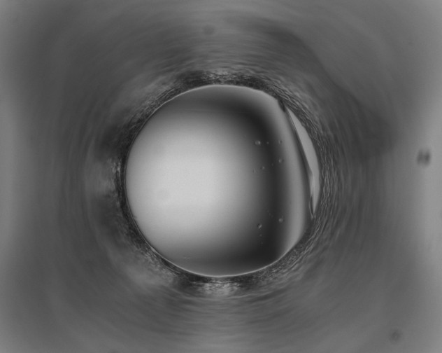 X0000096180225200801181319