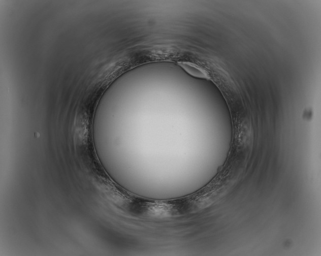 X0000096180226200801181319