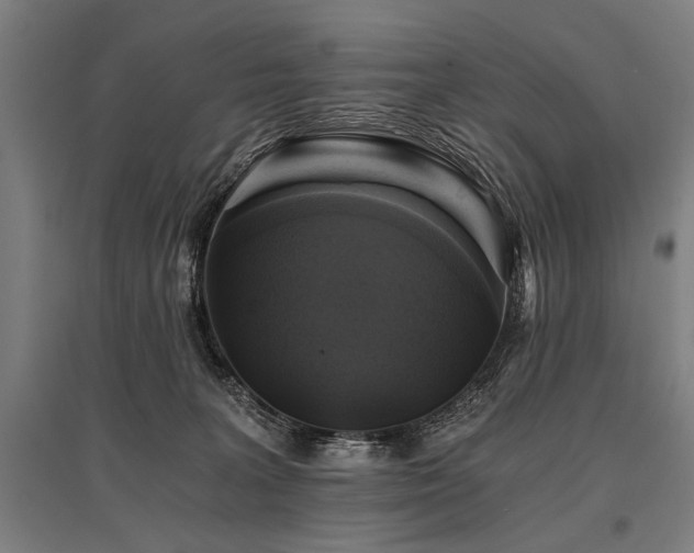 X0000096180227200801181319