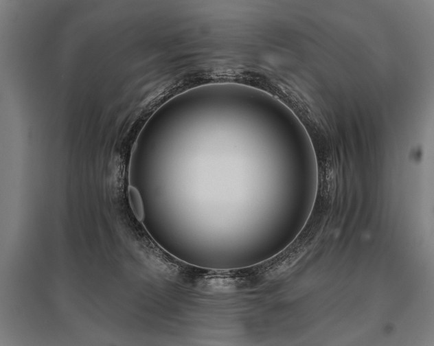 X0000096180228200801181319