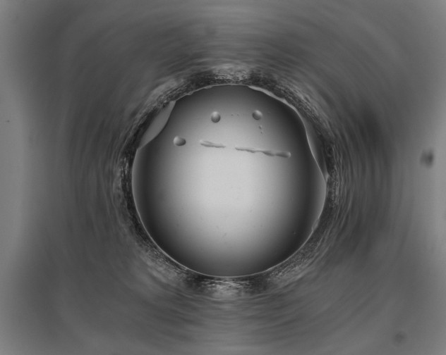 X0000096180229200801181319