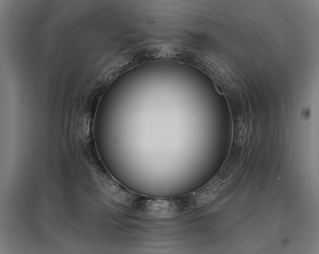 X0000096180230200801181319