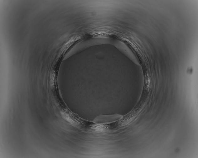 X0000096180231200801181319