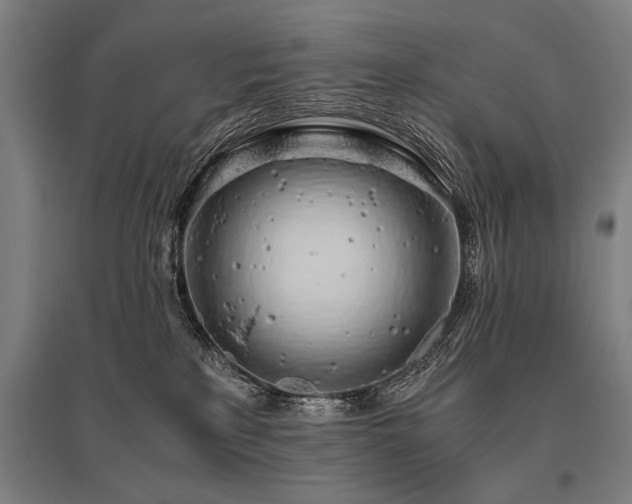 X0000096180233200801181319