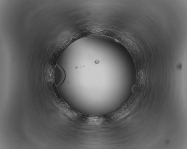 X0000096180234200801181319