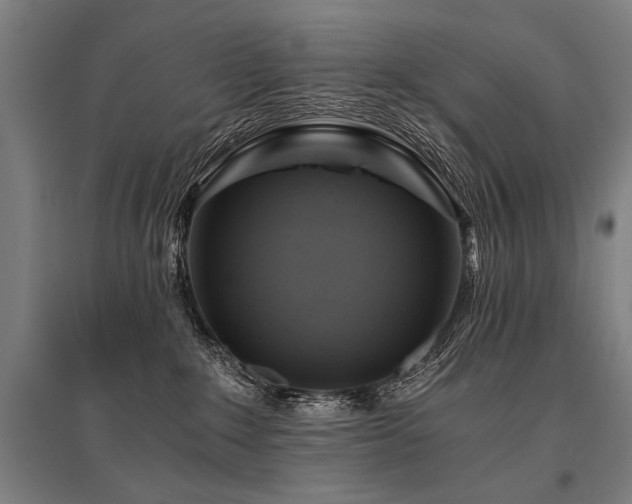 X0000096180235200801181319