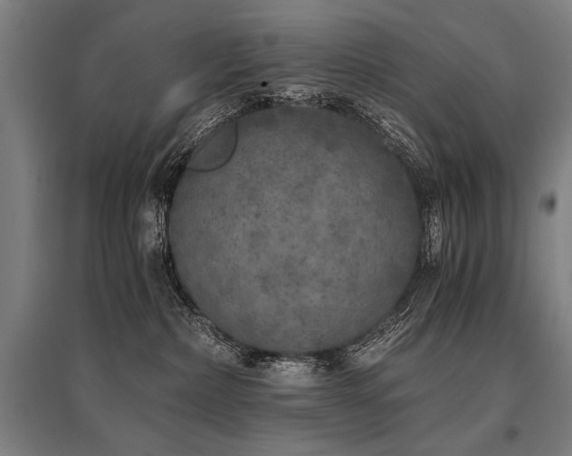 X0000096180236200801181319