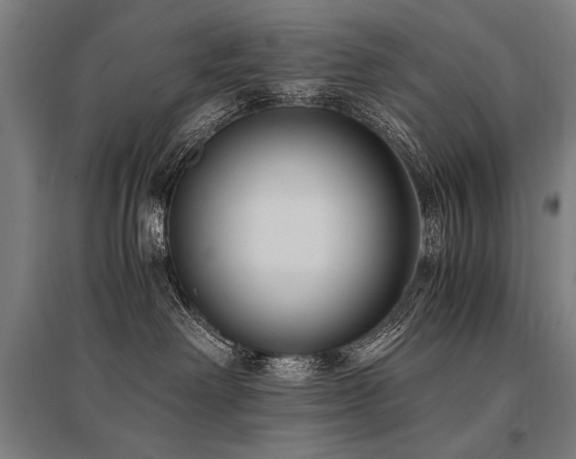 X0000096180238200801181319