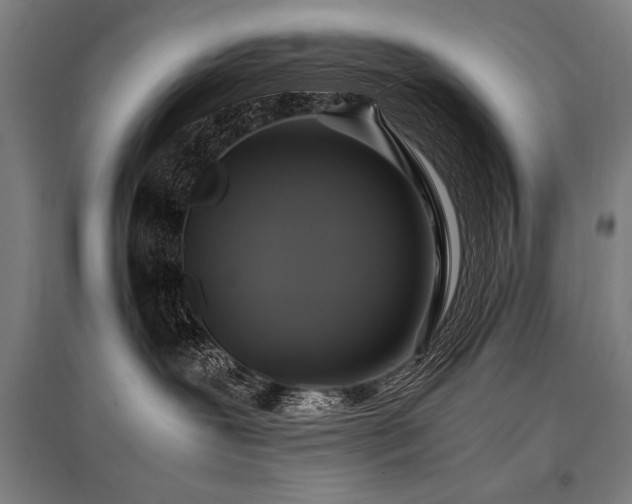 X0000096180239200801181319