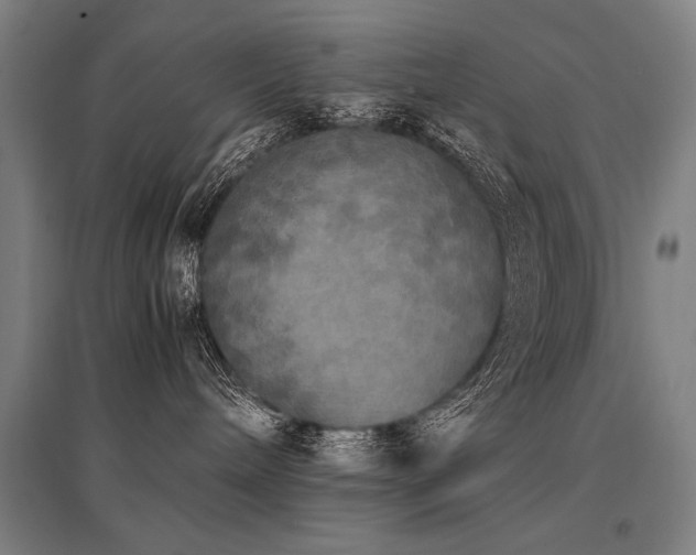 X0000096180240200801181319