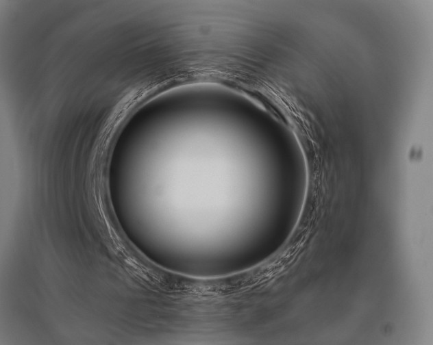 X0000096180241200801181318