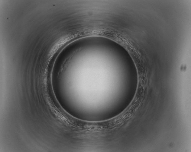 X0000096180242200801181318