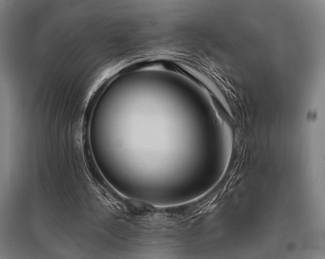 X0000096180244200801181318