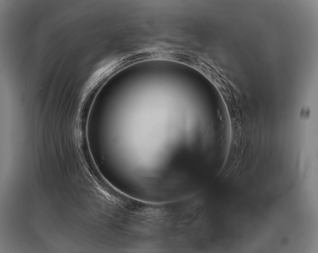 X0000096180245200801181318