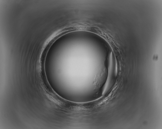 X0000096180246200801181318