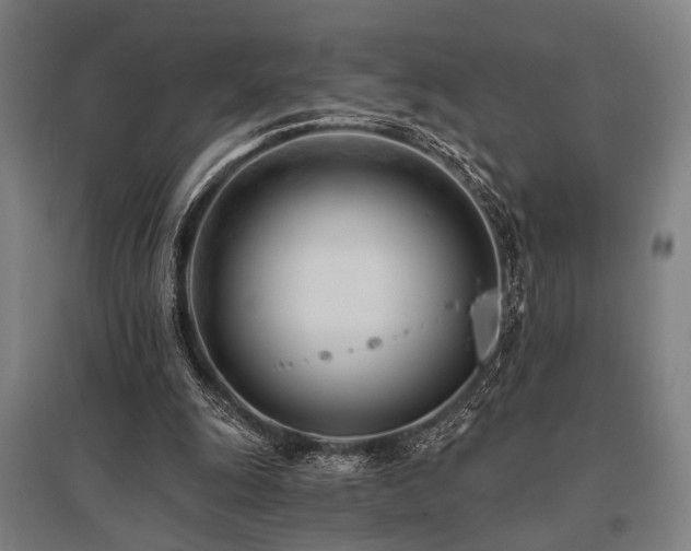X0000096180247200801181318