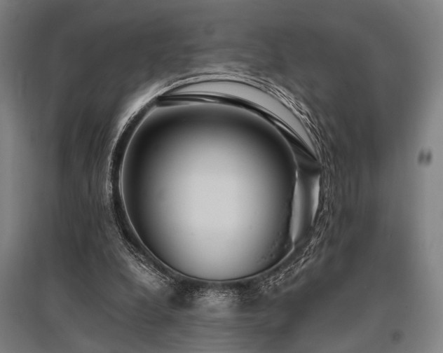 X0000096180248200801181318