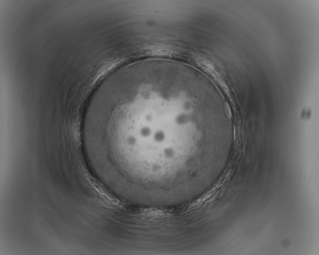 X0000096180249200801181318