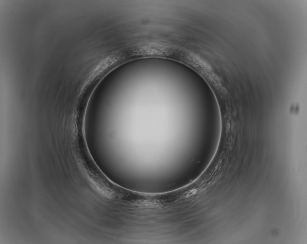 X0000096180250200801181318