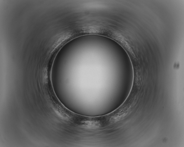 X0000096180251200801181318