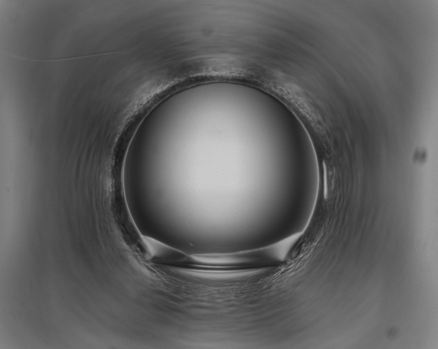 X0000096180252200801181318